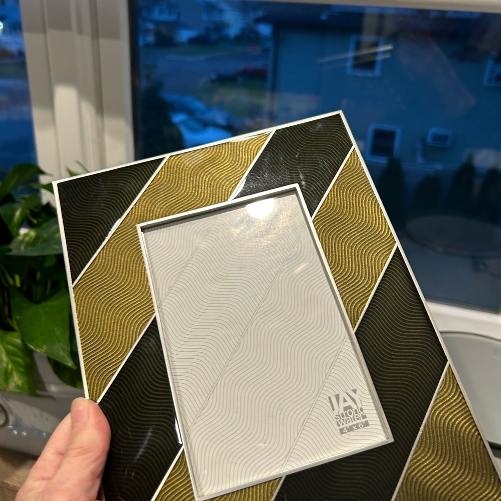 jay Strongwater picture frame